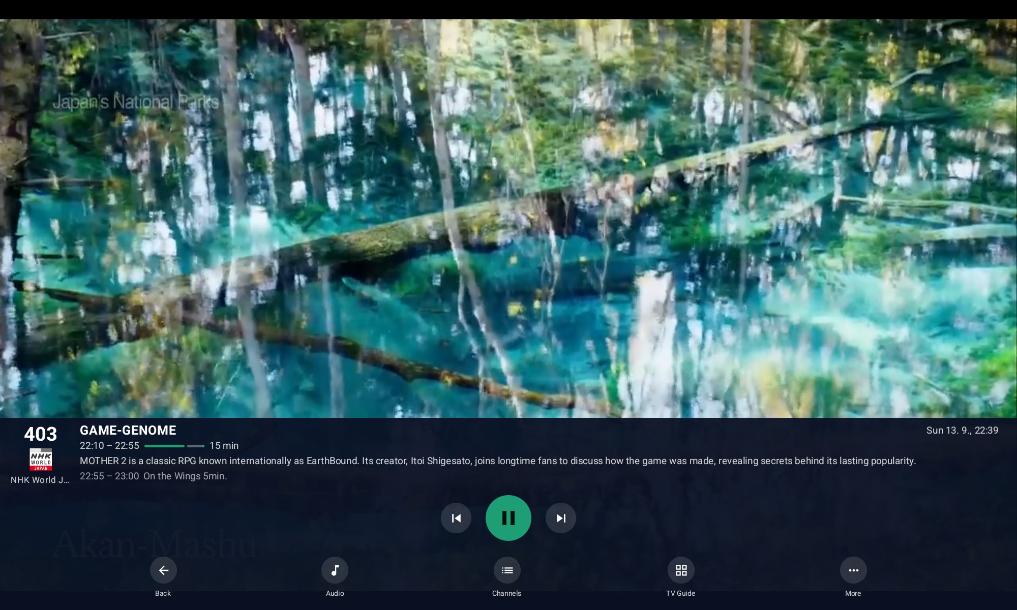 Headent Client — tablet player